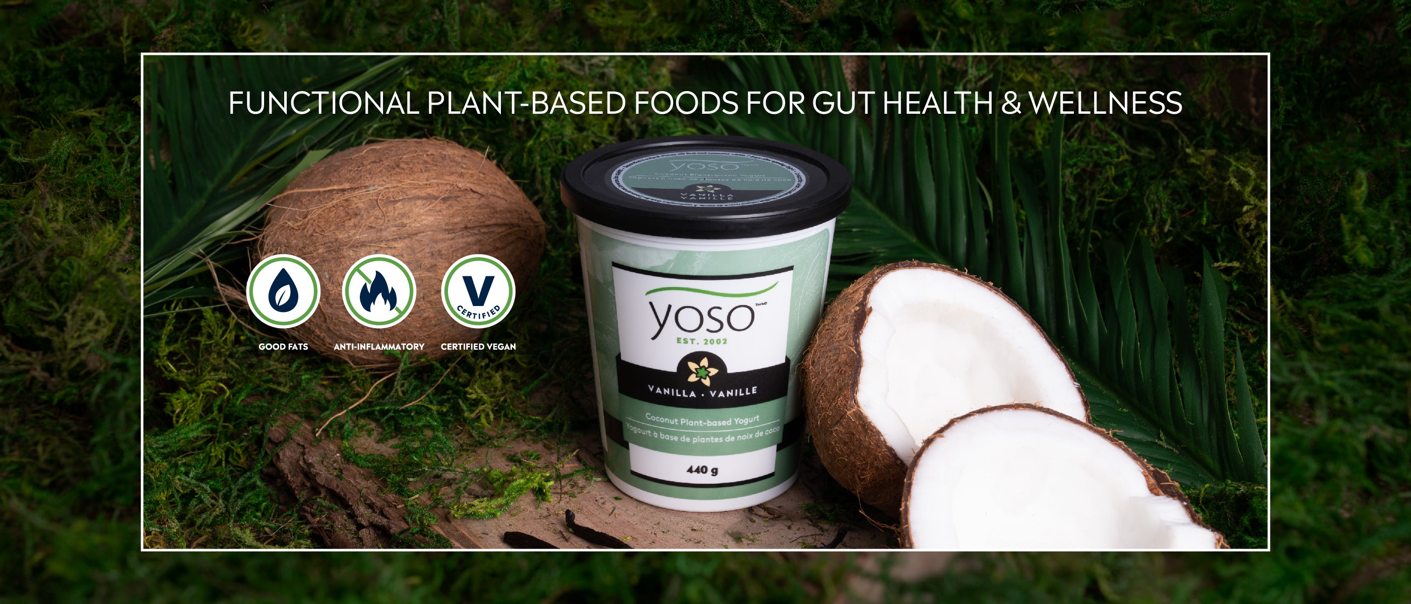 Functional based foods for gut health and wellness