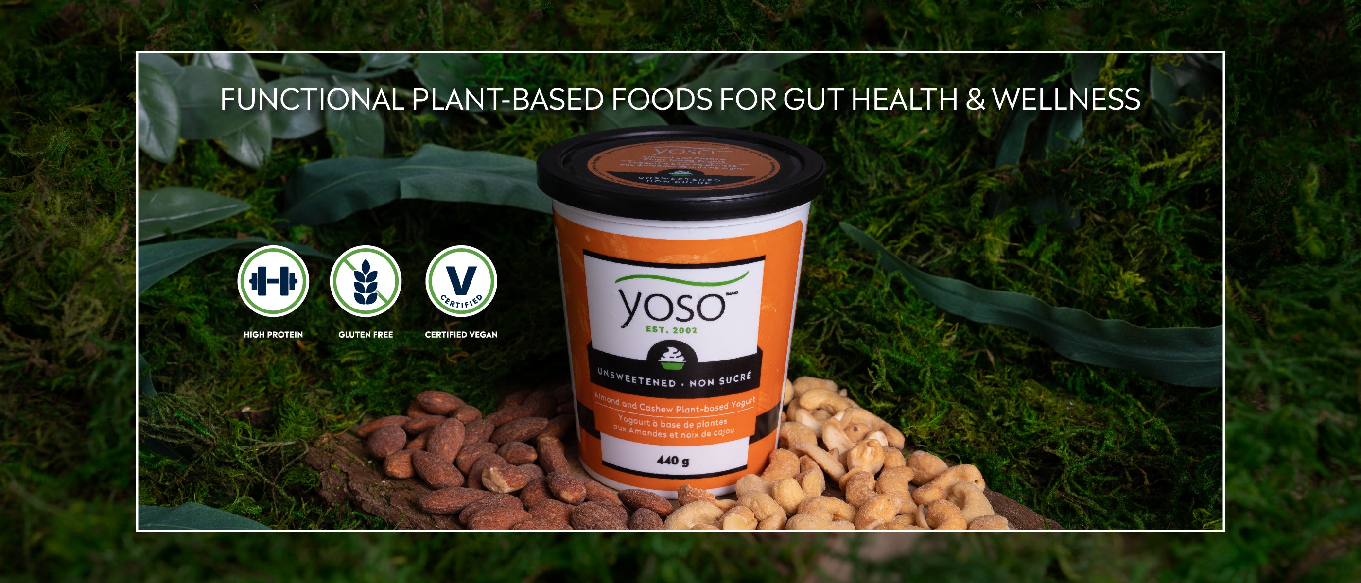 Functional based foods for gut health and wellness