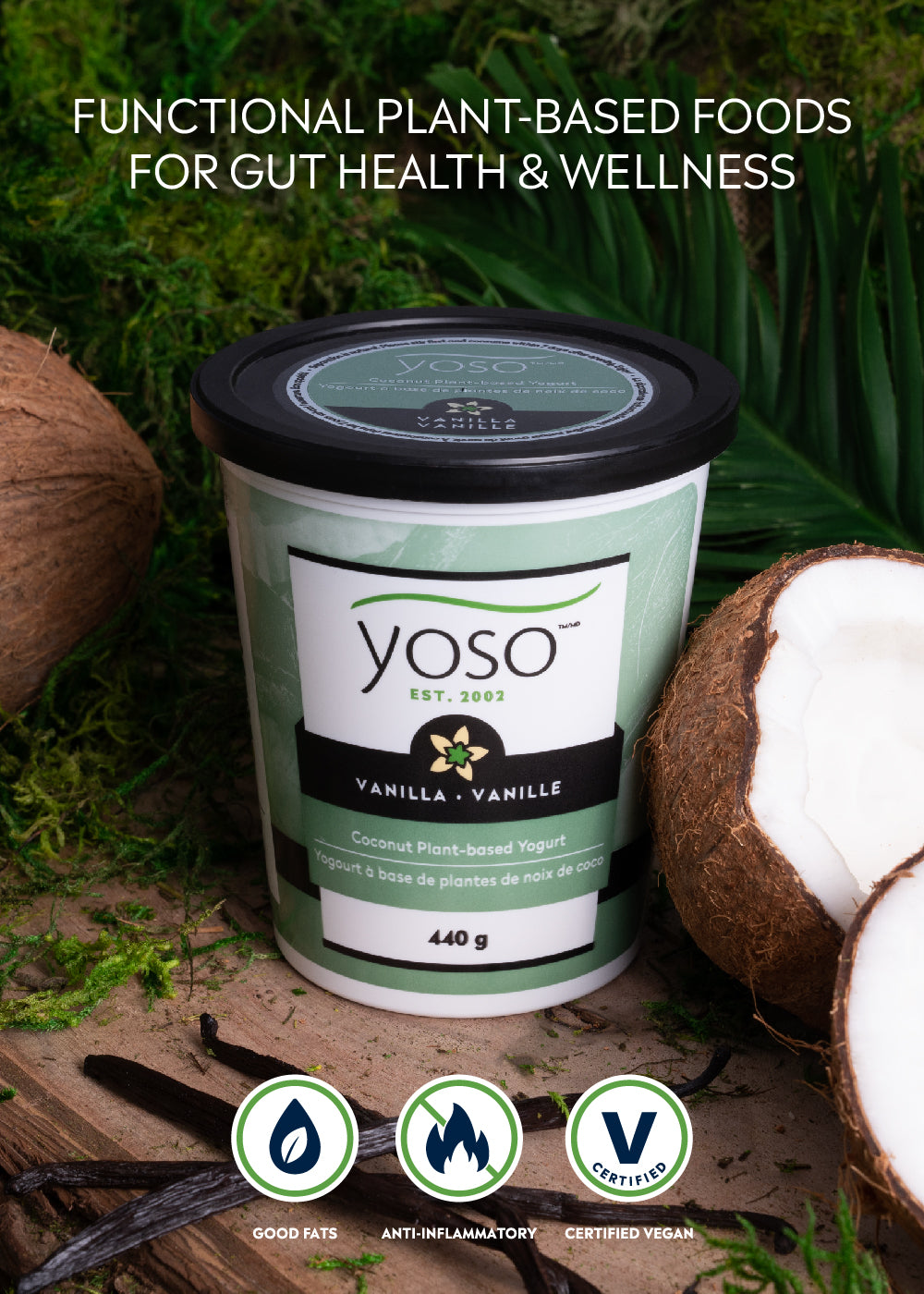 Plant based yogurt and smoothies