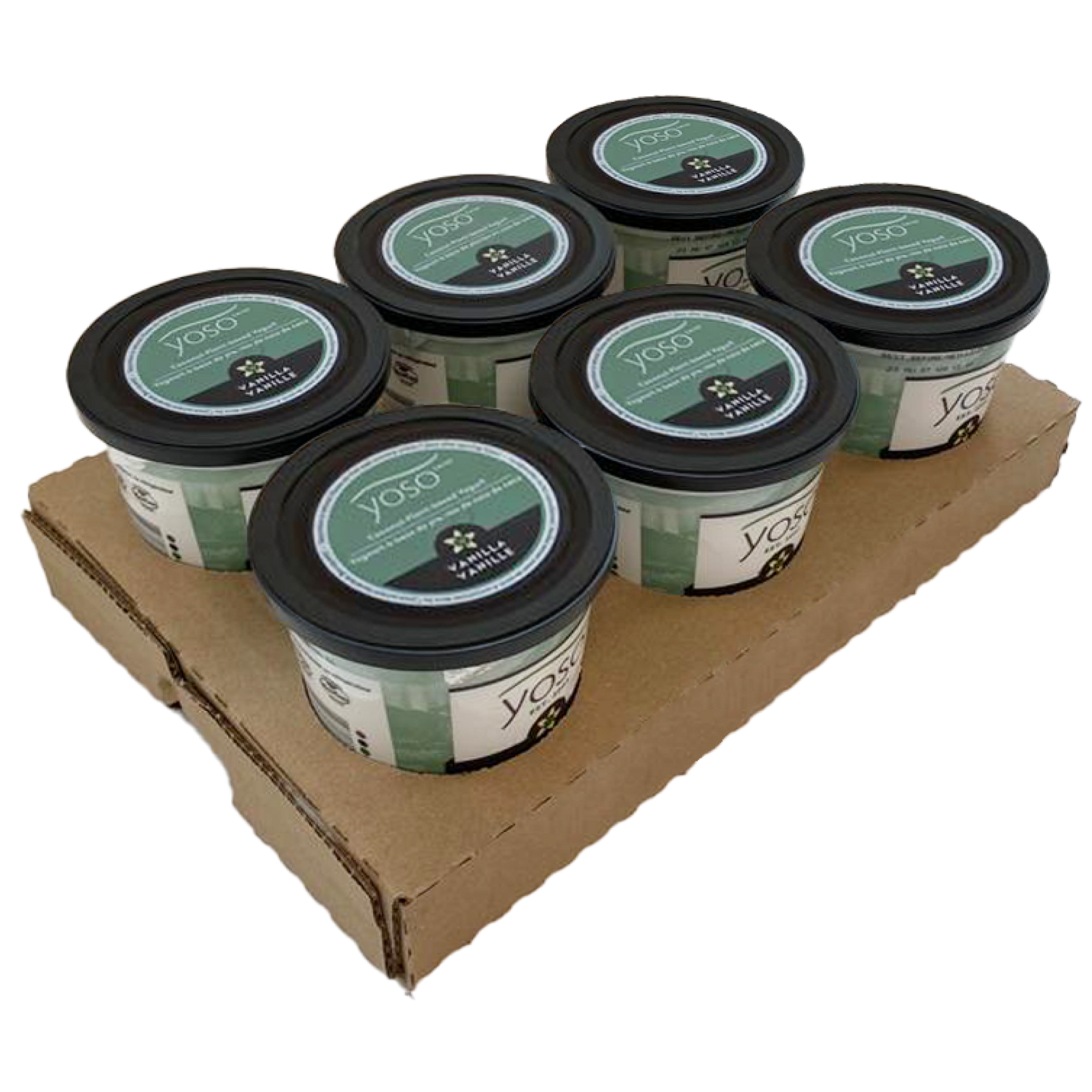 Vanilla Coconut Yogurt Case | Coconut Plant-Based Yogurt