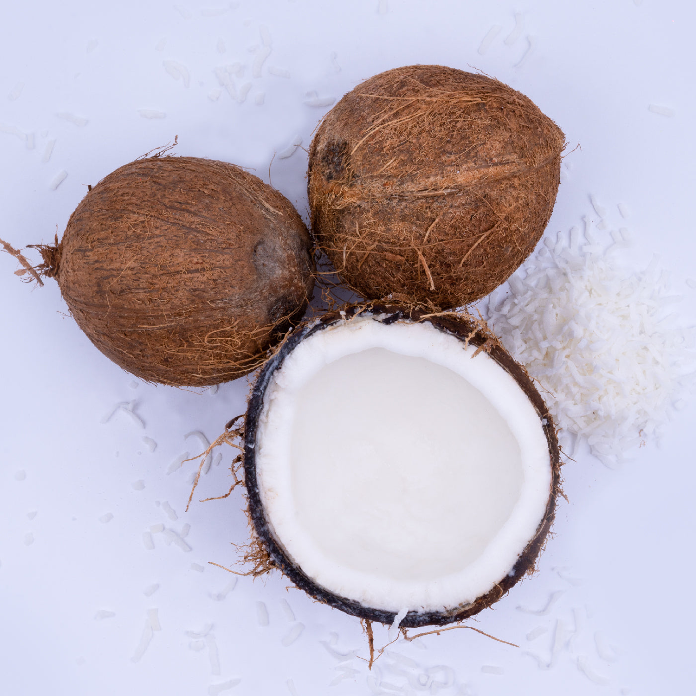 Coconut