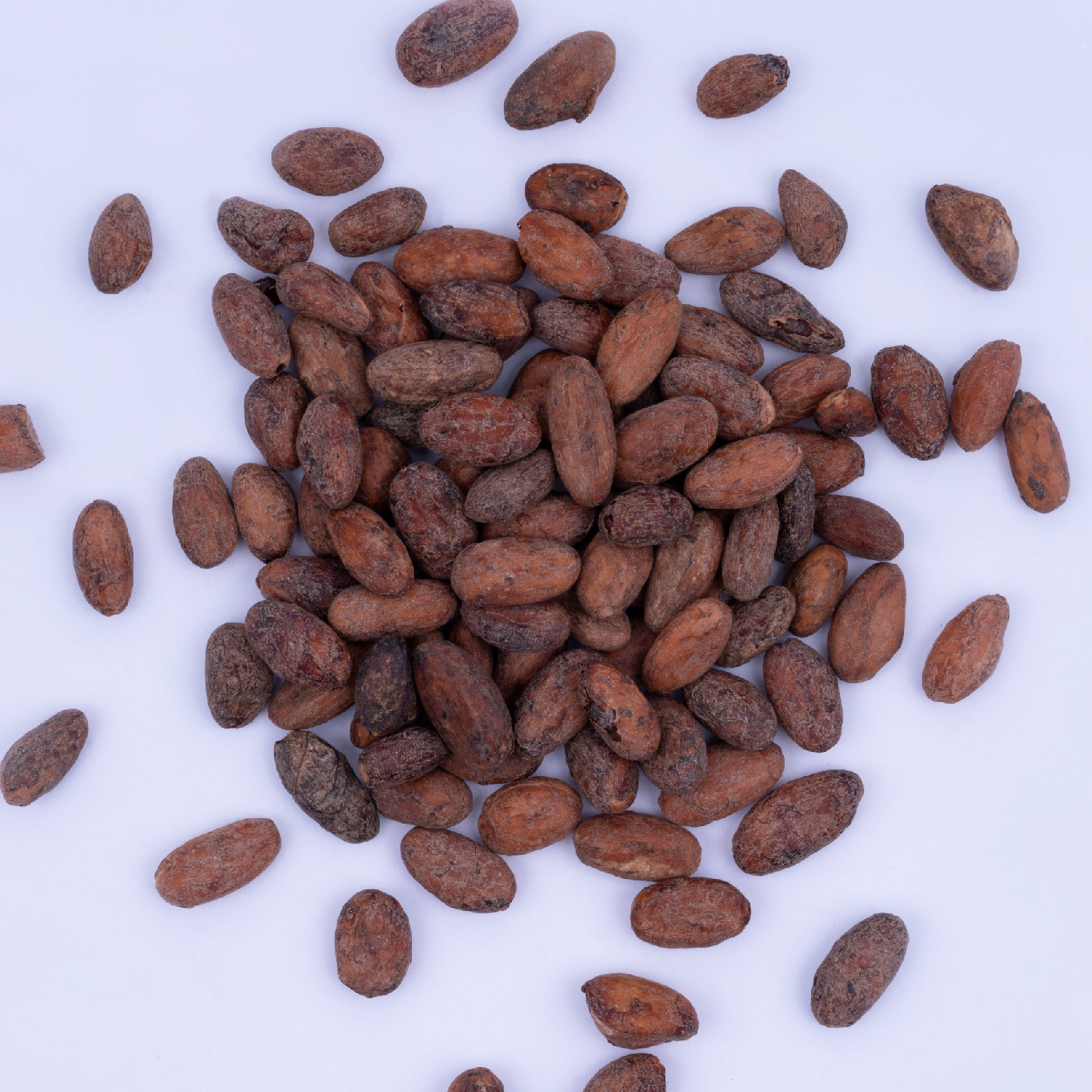 Organic Coca Beans