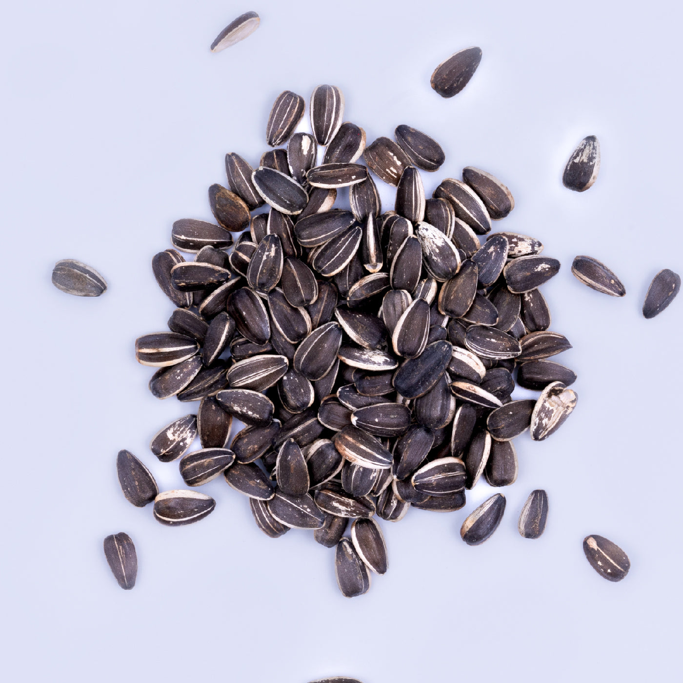 Organic Raw Sunflower Seeds