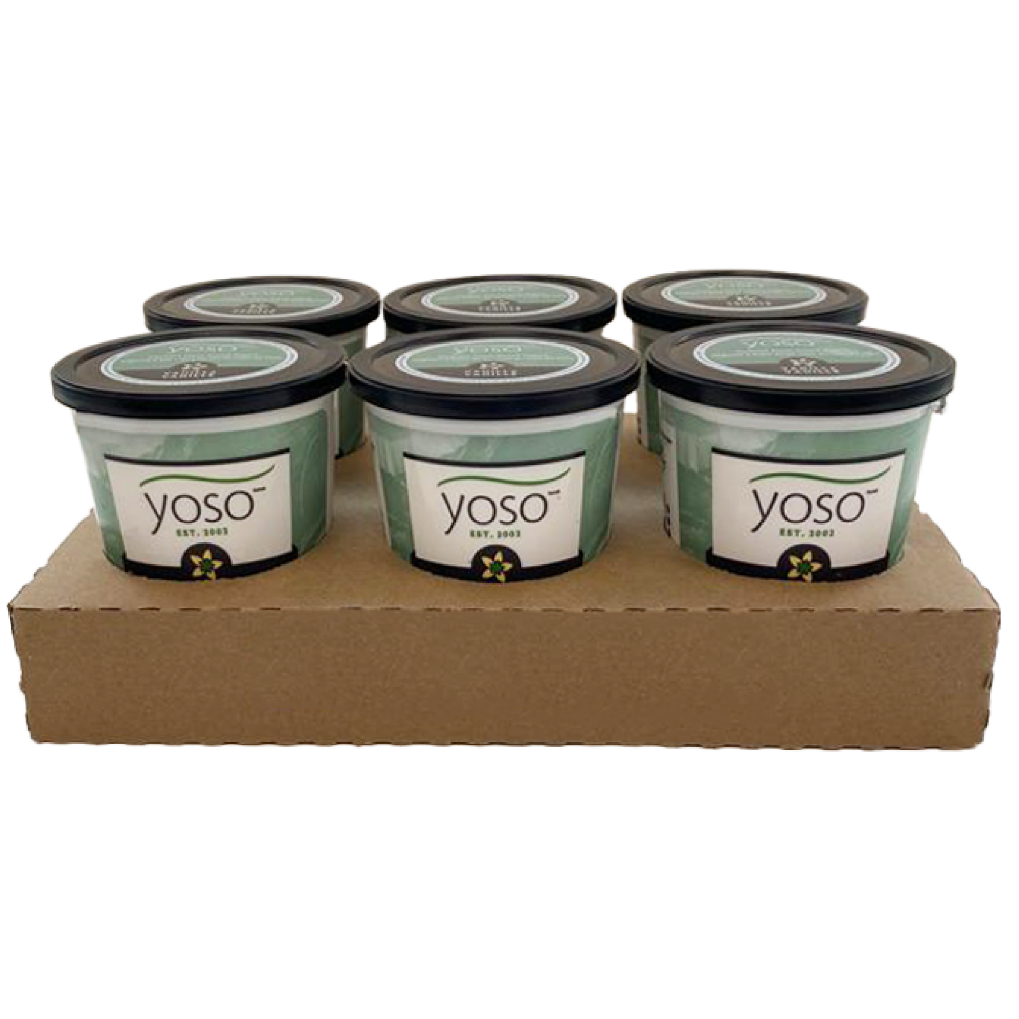 Vanilla Coconut Yogurt Case Coconut PlantBased Yogurt