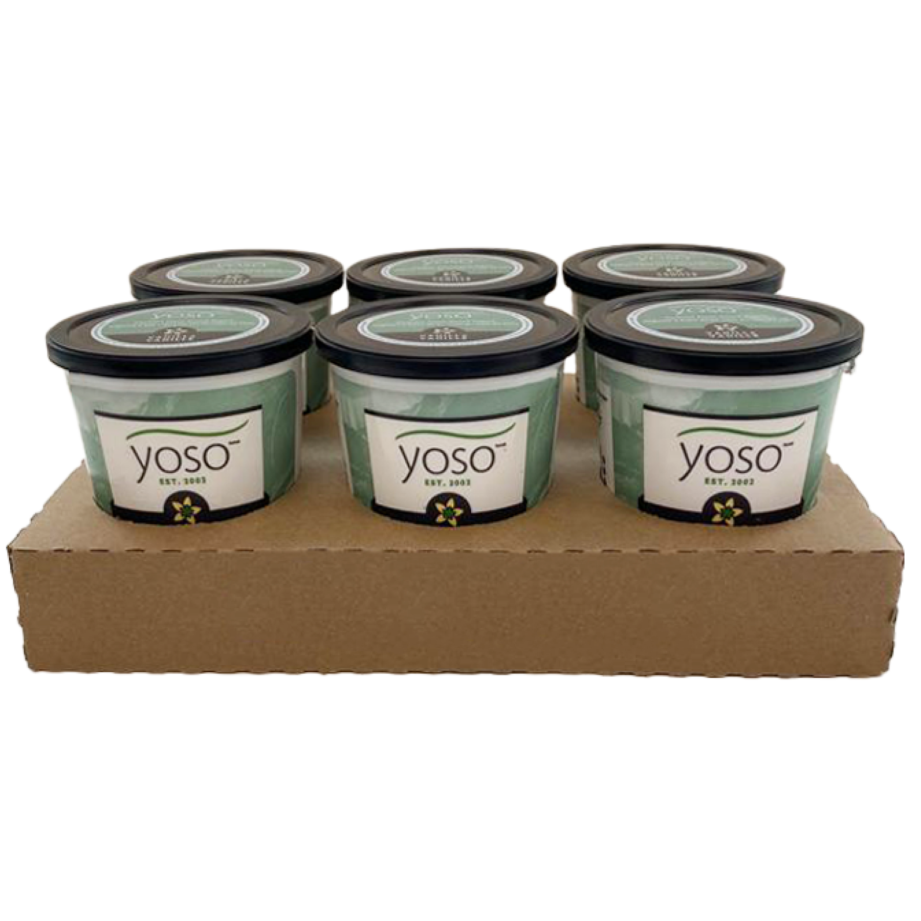 Vanilla Coconut Yogurt Case | Coconut Plant-Based Yogurt