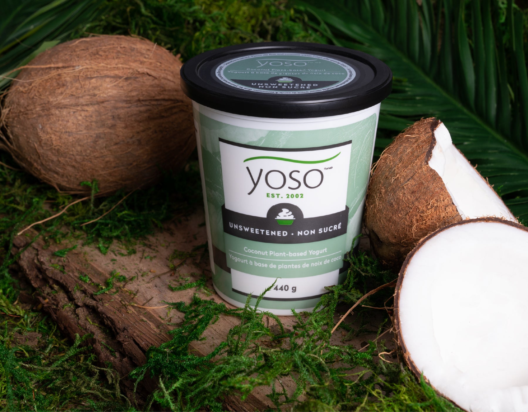Plant based yogurts